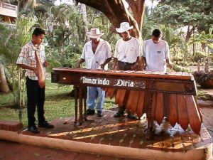 A traditional marimba with timber resonators